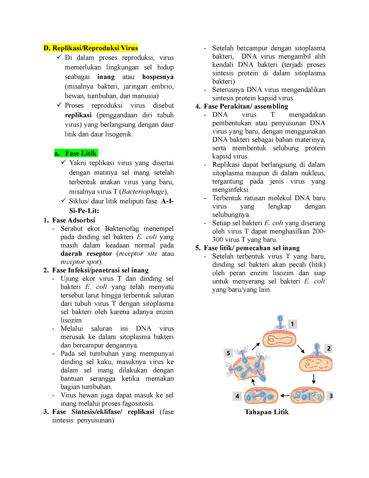 Catatan Virus 02 Hschsjdhkxnak D Replikasireproduksi Virus Di 7151