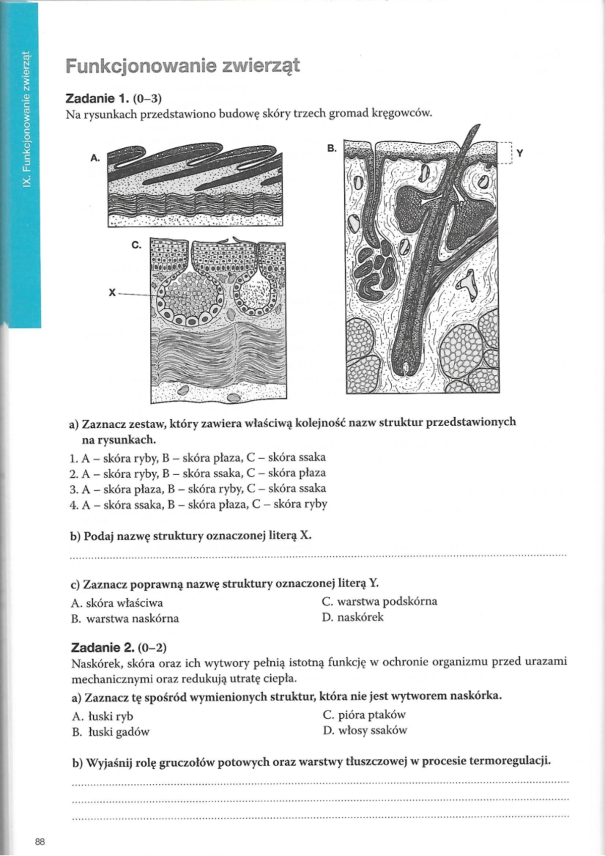 Funkcjonowanie Zwierząt Sprawdzian Nowa Era Liceum www.studocu.com