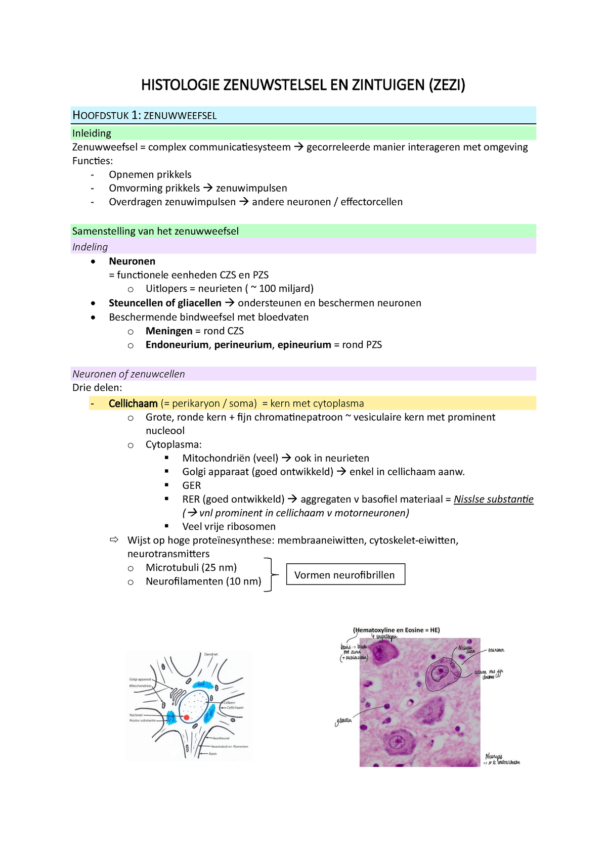 SV Histologie Ze Zi - Samenvatting Zenuwstelsel En Zintuigen ...