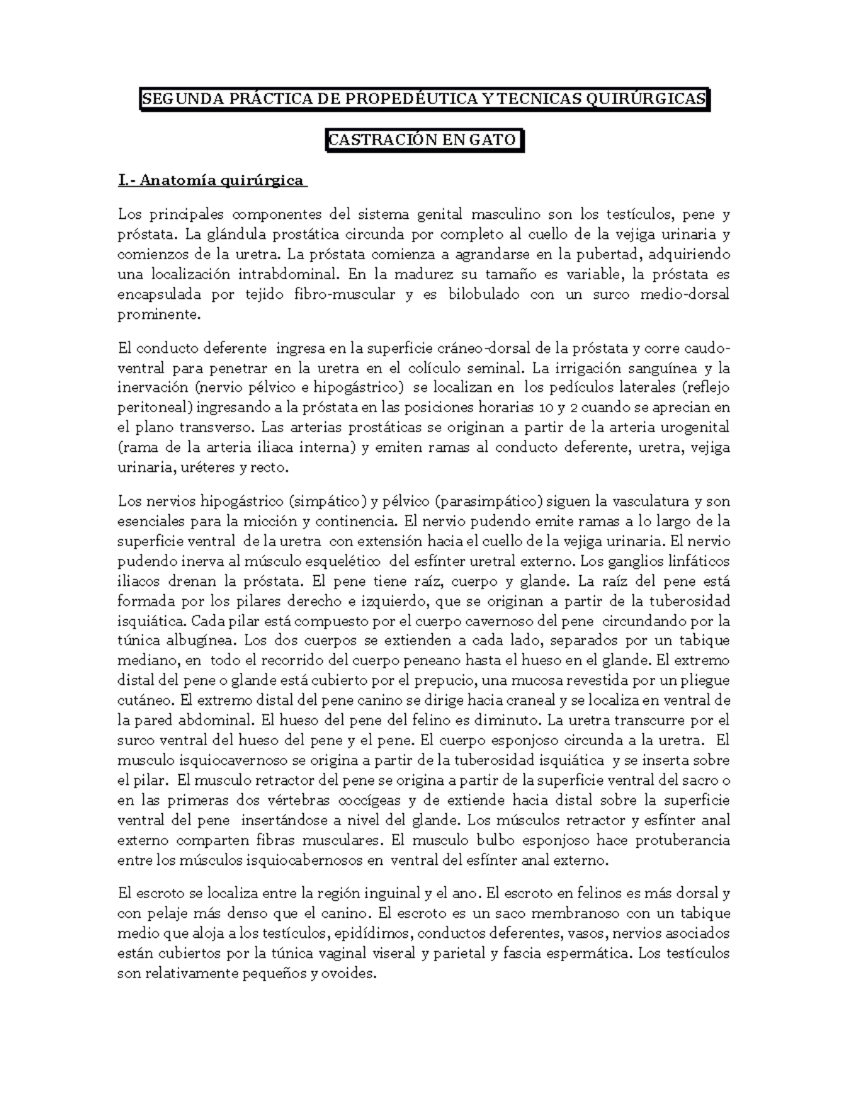 conducto muscular viaja a través de la glándula prostática