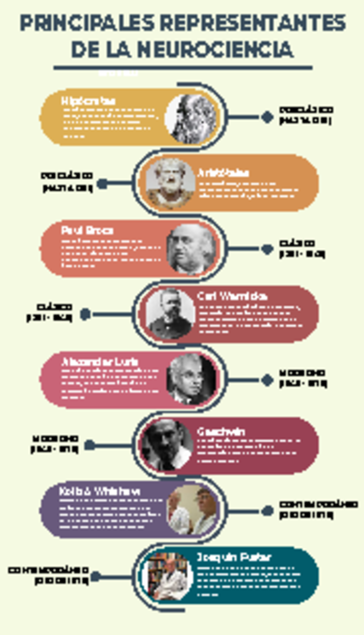 Principales representantes de la neurociencia - PRINCIPALES ...