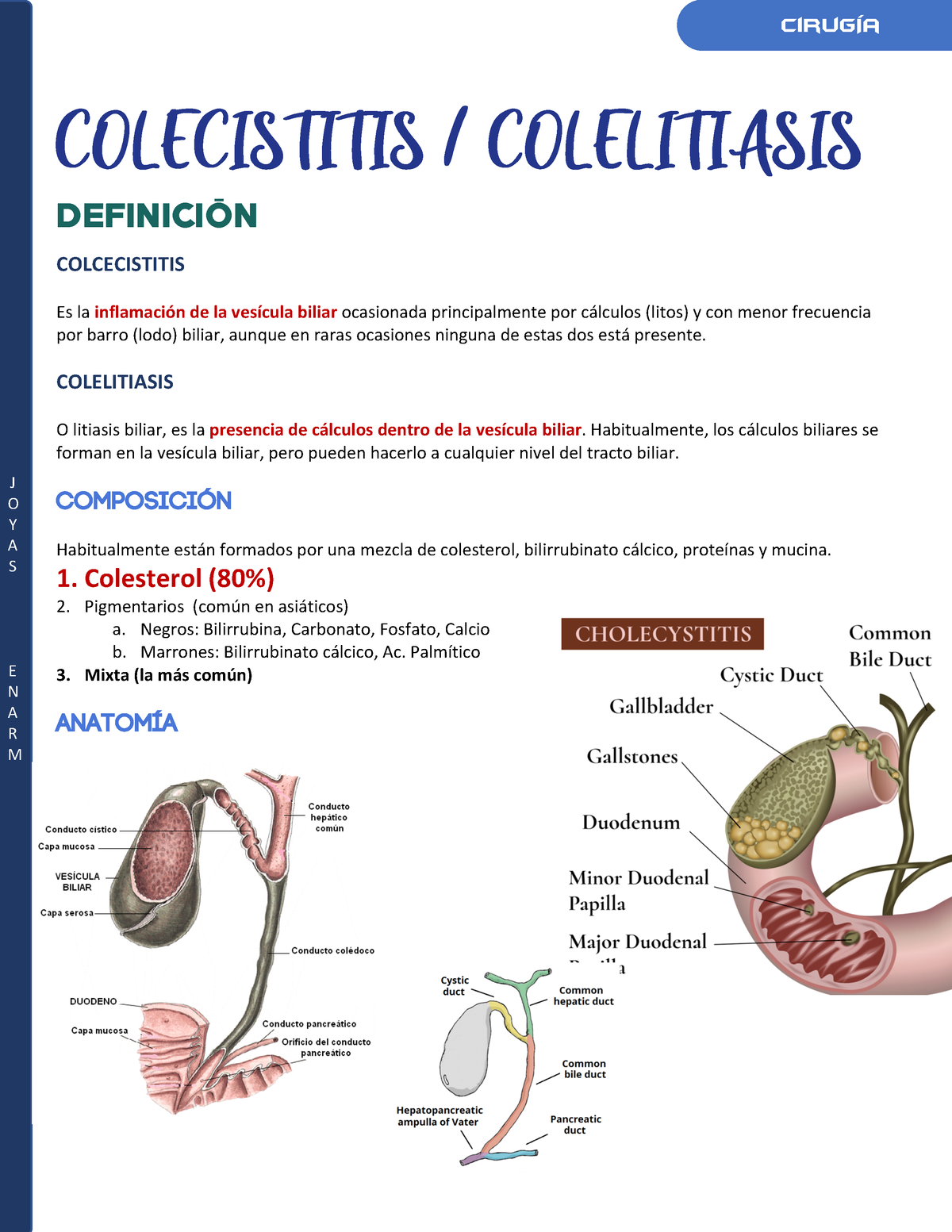 2. Colecisititis Colelitiasis - J O Y A S E N A R M COLECISTITIS ...