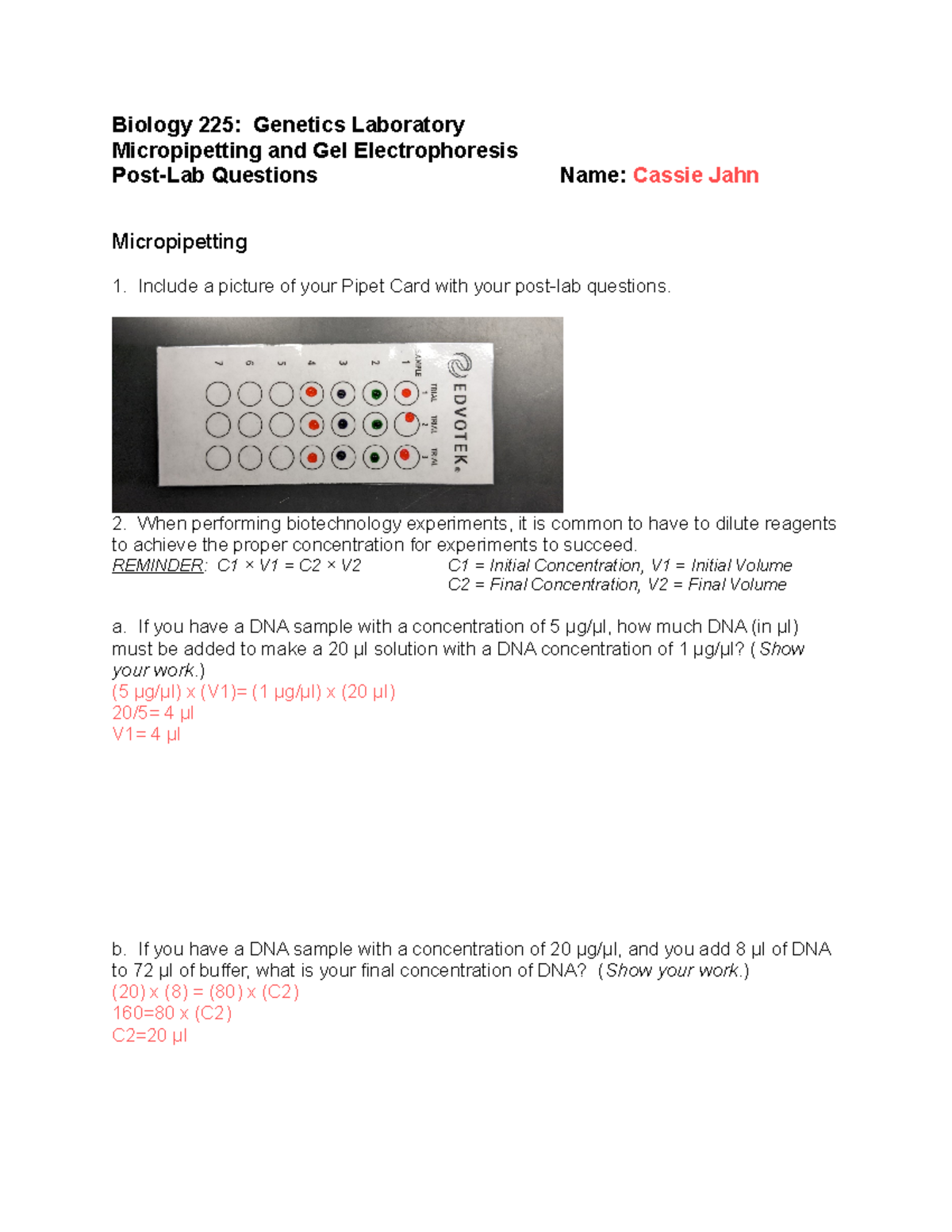 Micropipetting and Gel Electrophoresis PostLab Biology 225