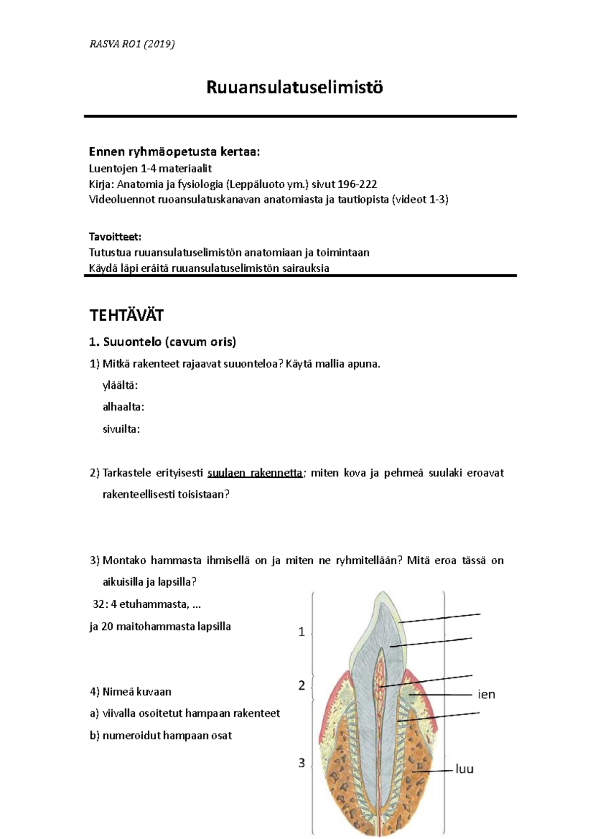 Rasva RO1 Pakollinen Ryhm opetuksen Teht v Ruoansulatusj rjestelm 