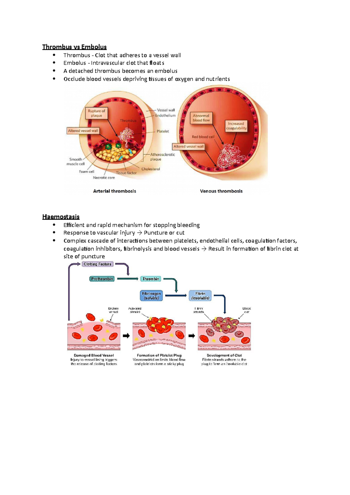 Anticoagulants Thrombus Vs Embolus Haemostasis Thrombosis Drugs Affecting The Coagulation 9622