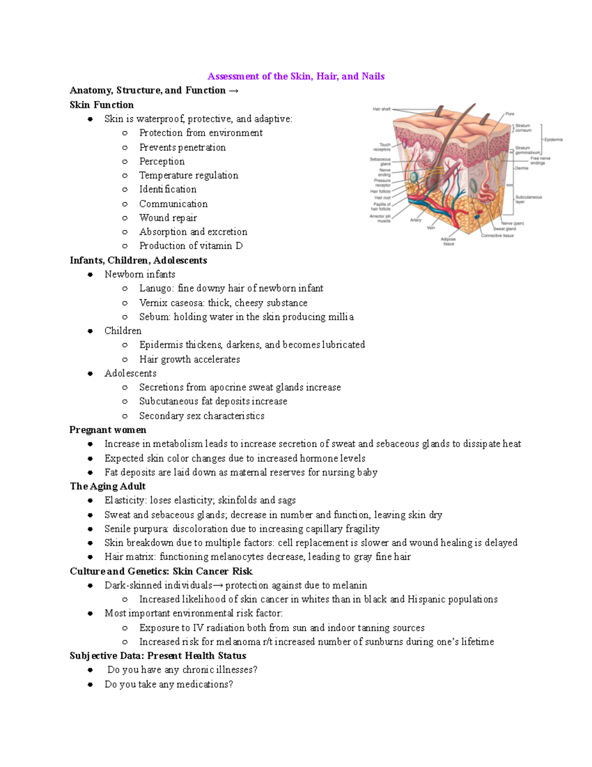 Skin Hair Nails - Assessment Of The Skin, Hair, And Nails Anatomy ...