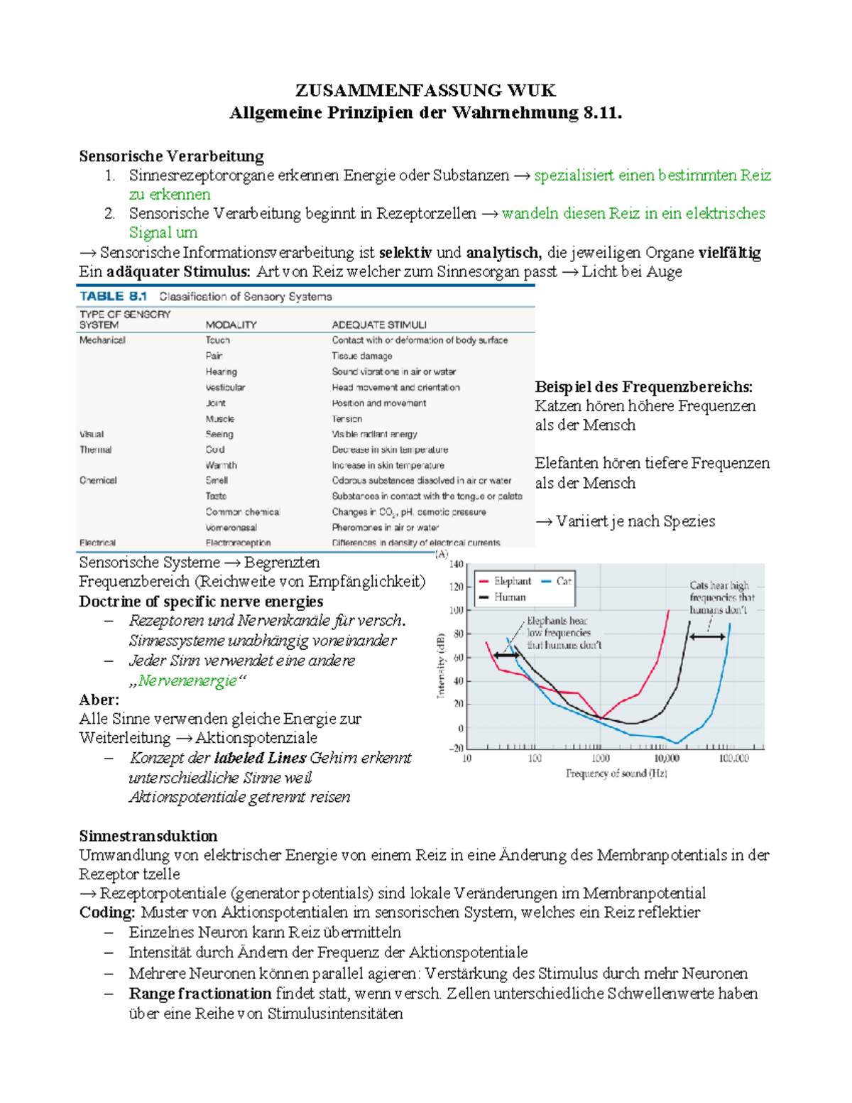 KOGNITION GEISTIGE WAHRNEHMUNG EINFACH ERKL RT MIT VIDEO intelligence overview