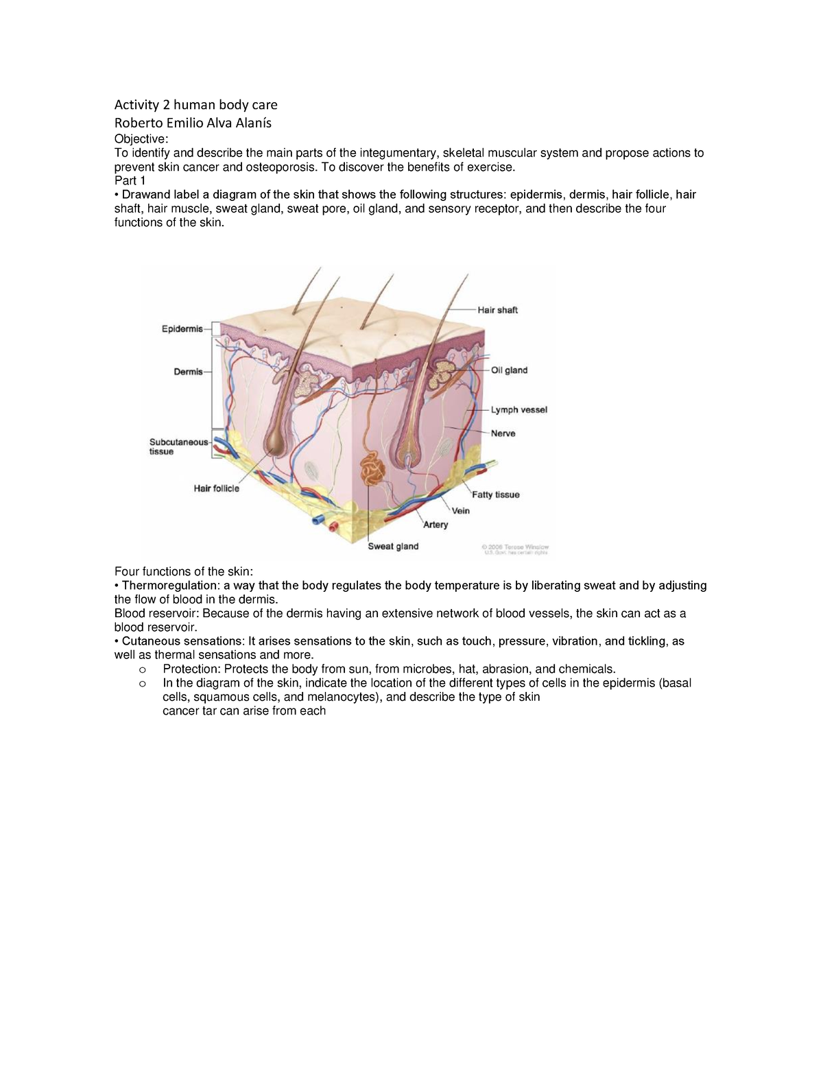 Activity 2 human body carw - Activity 2 human body care Roberto Emilio ...