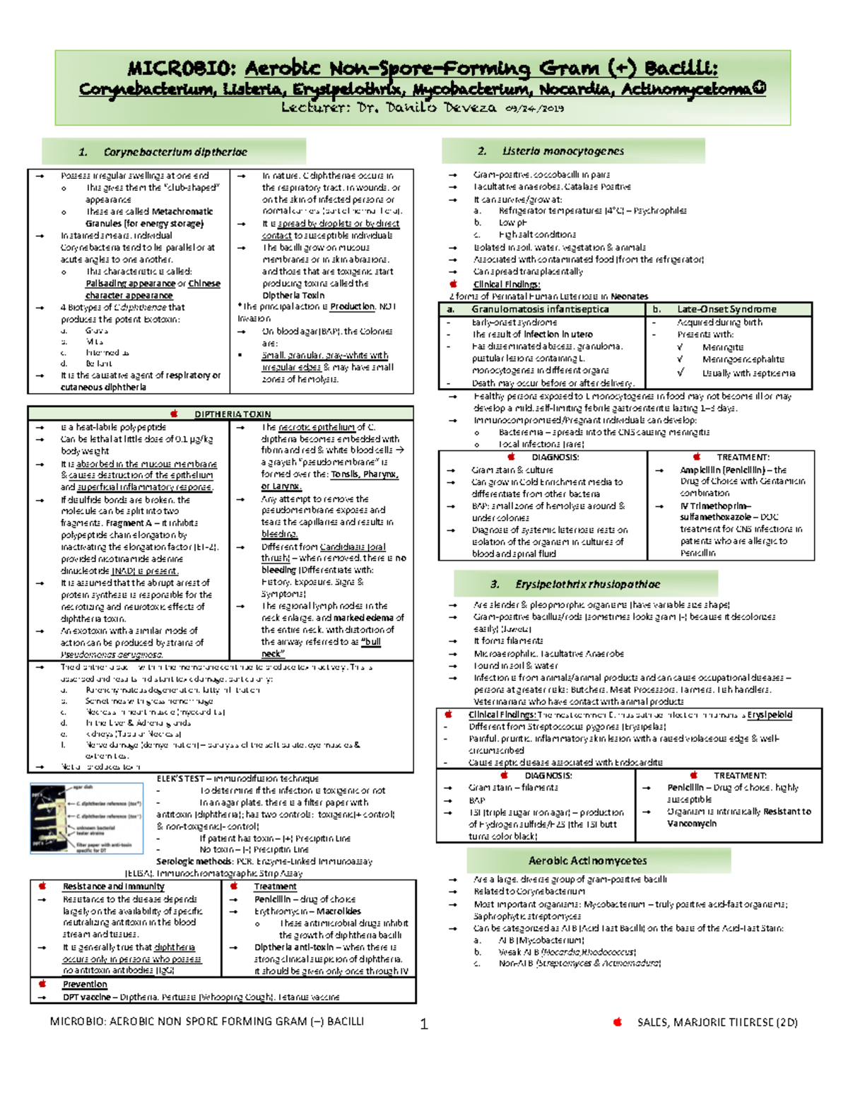 Aerobic Gram Pos Non-Spore Formers - MICROBIO:(AEROBIC(NON,SPORE ...