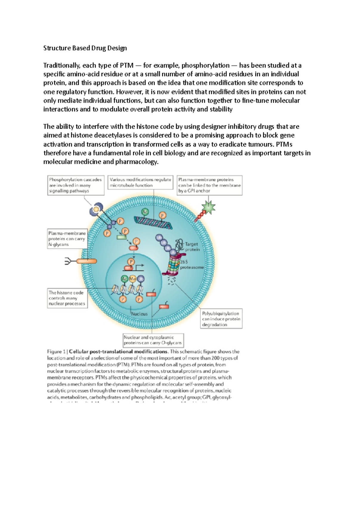 Structure Based Drug Design - Structure Based Drug Design Traditionally ...