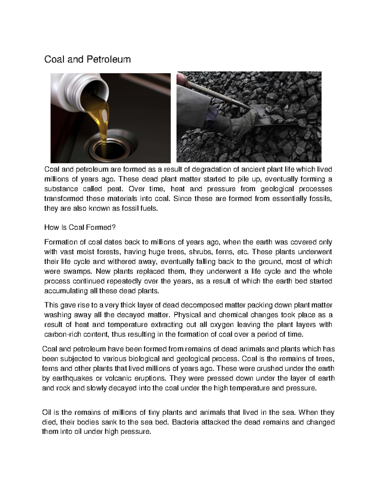 CoalandPetroleum coal and petroleum Coal and Petroleum Coal and