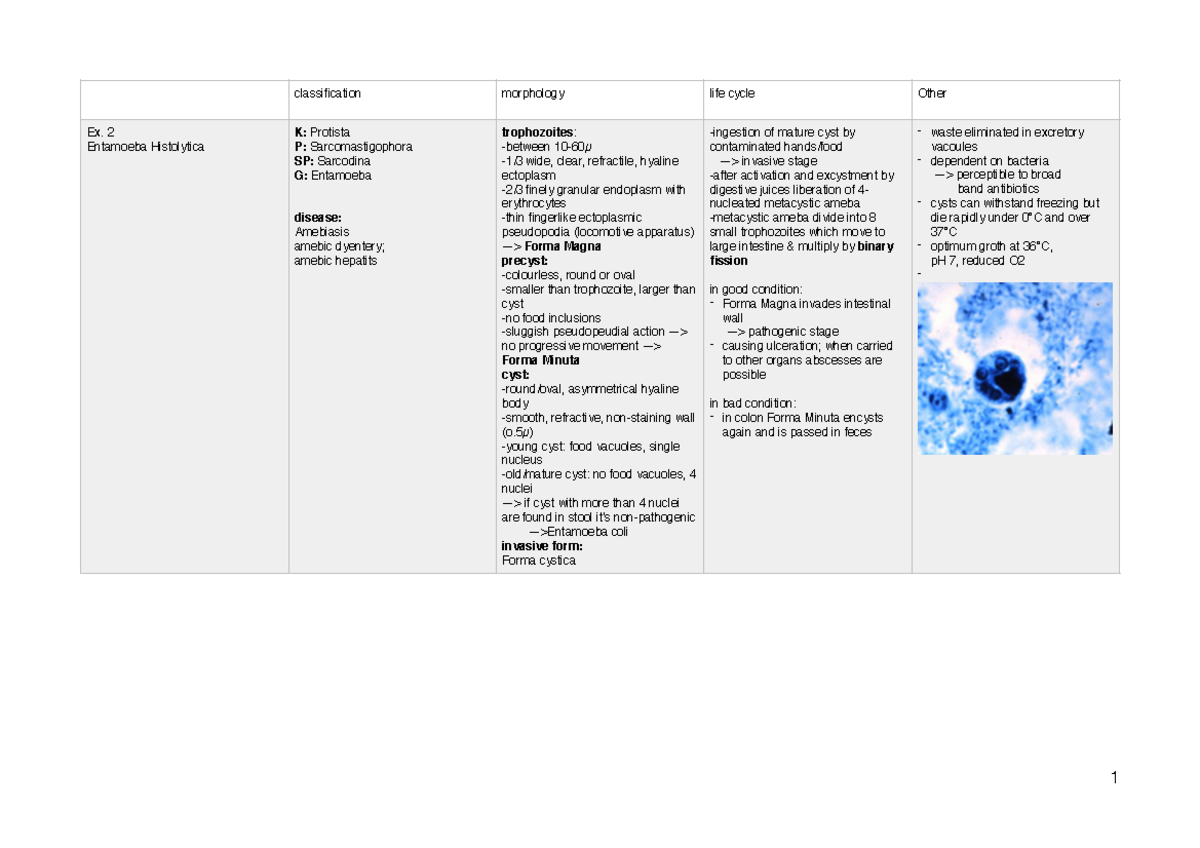 parasitology-tabelle-classification-morphology-life-cycle-other-ex-2