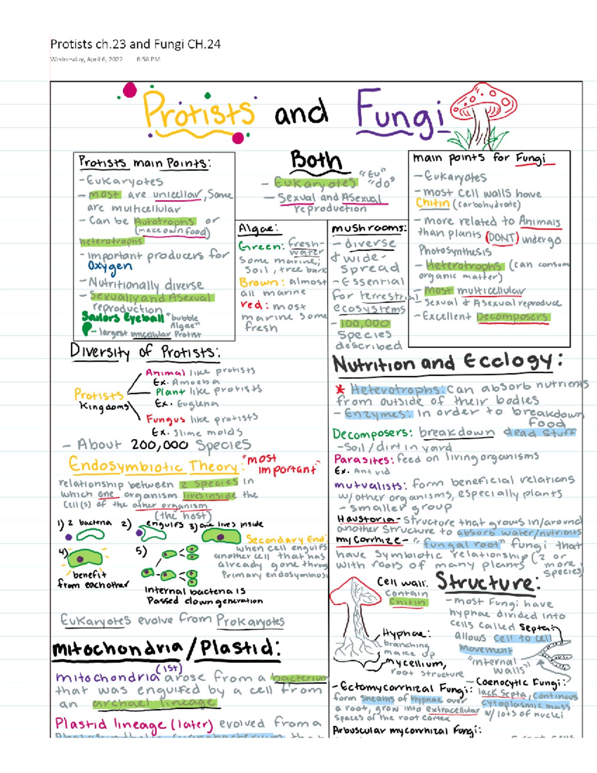 Protists And Fungi - BIOL 1720 - Studocu