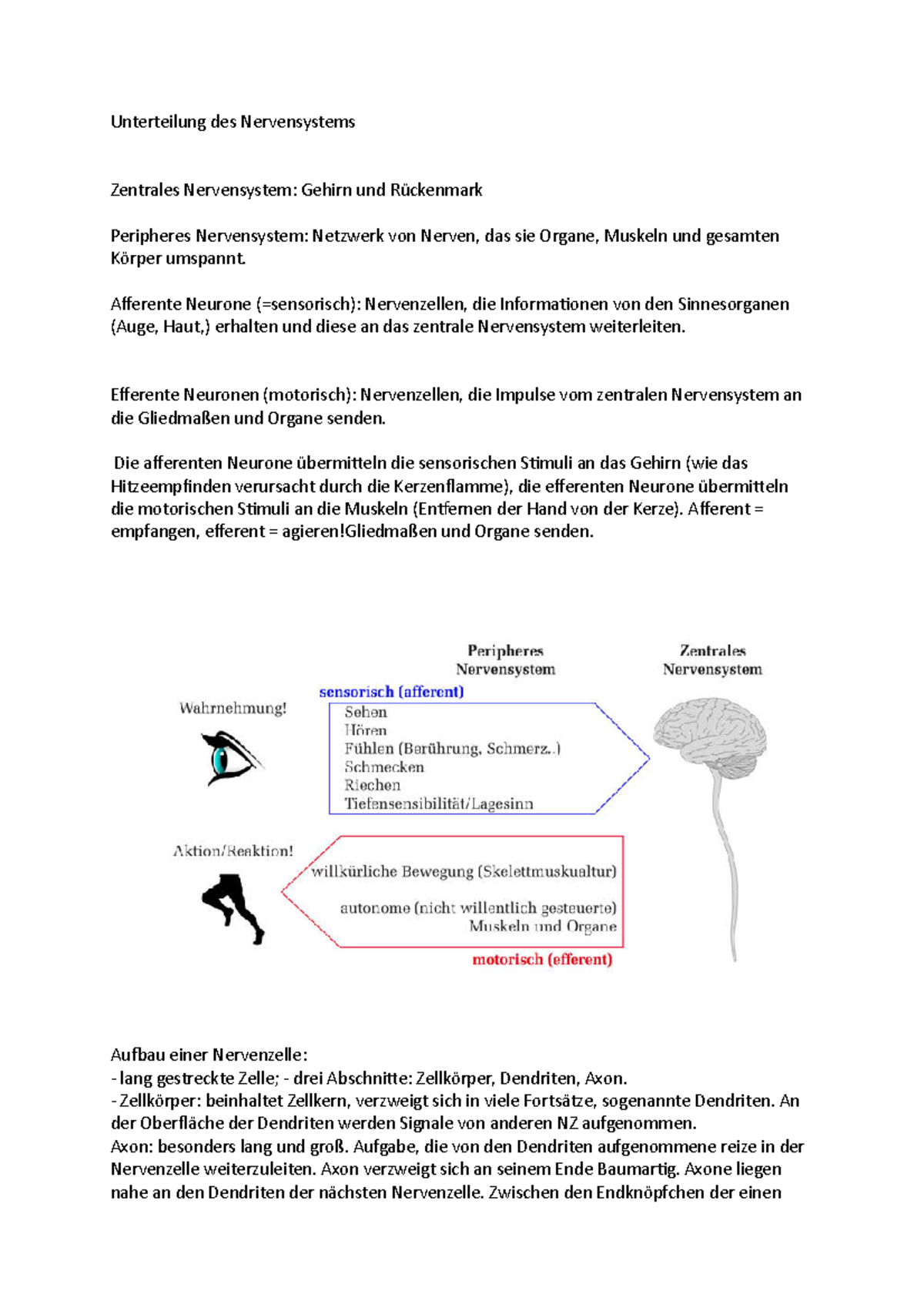 Biologische Signalisierung Zusammenfassung Unterteilung des