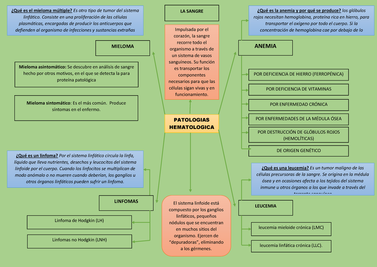 Mapa conceptual hematologico - PATOLOGIAS HEMATOLOGICA ANEMIA LEUCEMIA  MIELOMA LINFOMAS ¿Qué es la - Studocu