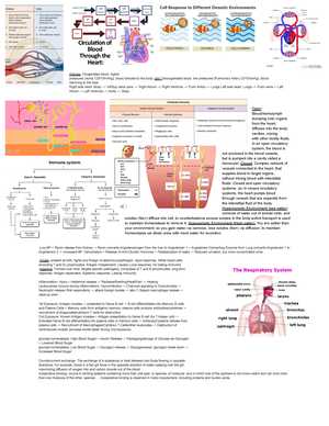 BIO1111 Midterm 3 Study Guide - bio 1111 - Temple University - Studocu