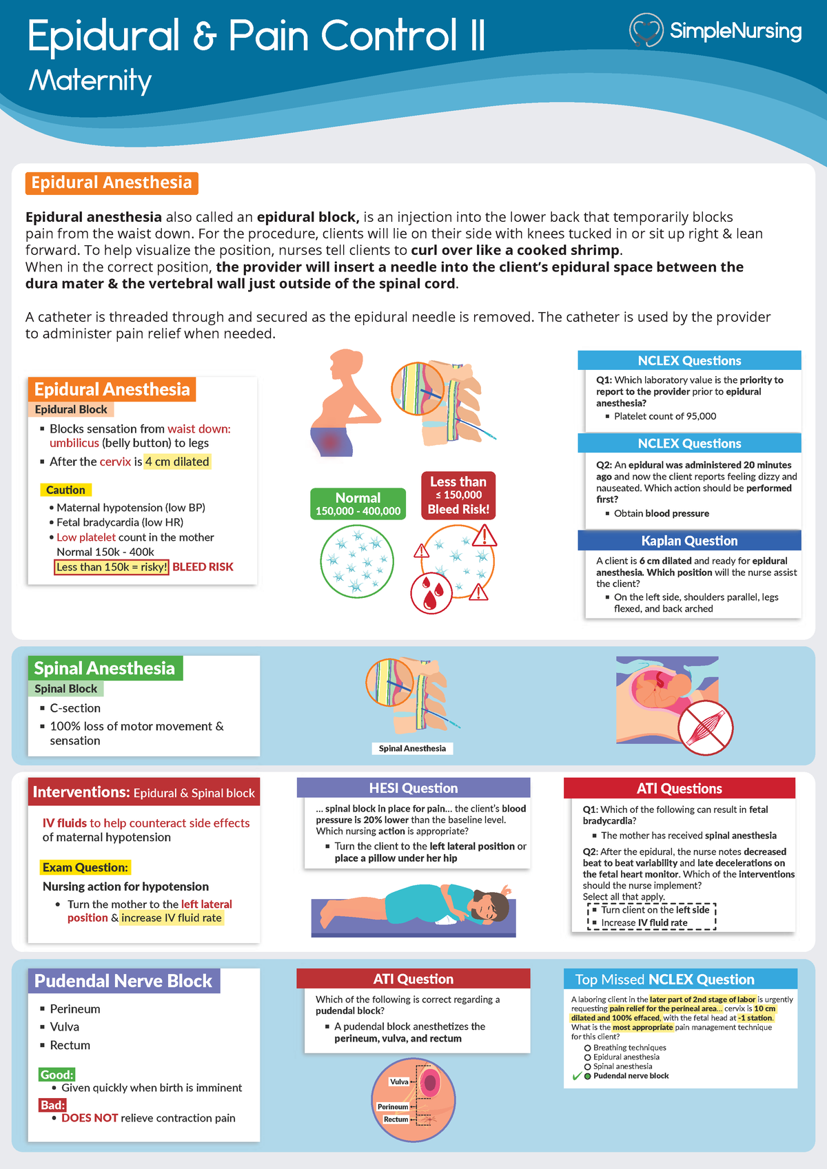 2 - Epidural & Nerve Block - Epidural & Pain Control II Maternity ...