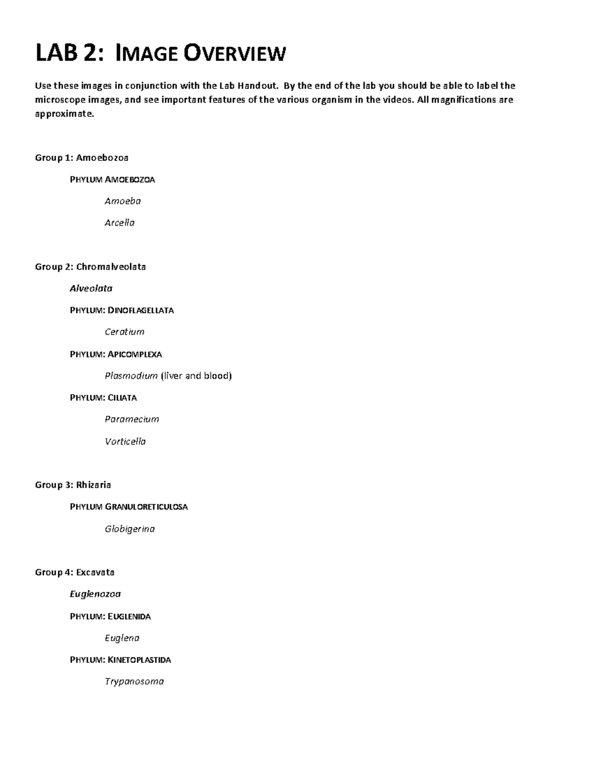 Lab 2 Images W 23 - Summary Invertebrate Morphology & Evolution W - LAB ...