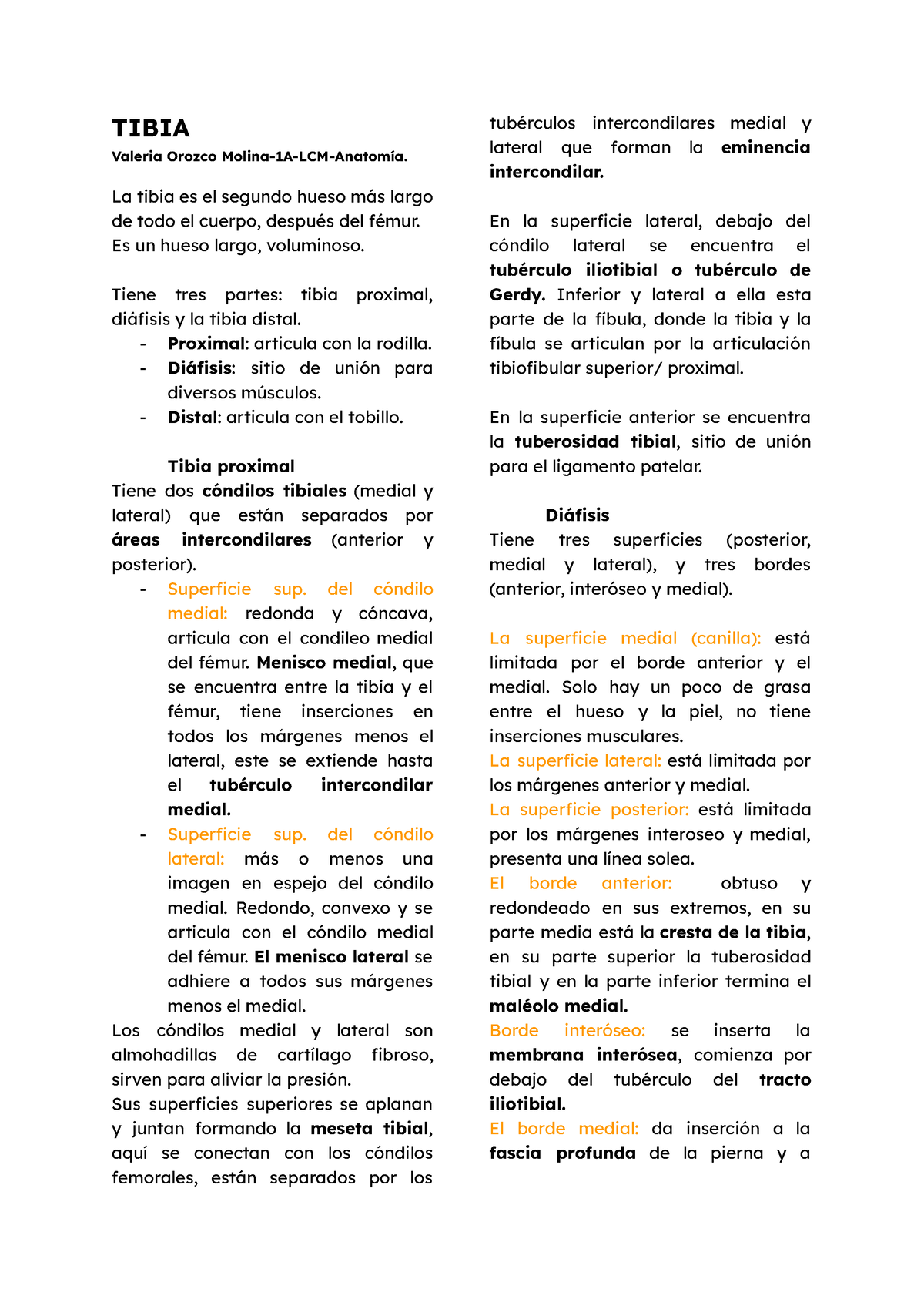 anatomía de la superficie de la tuberosidad tibial