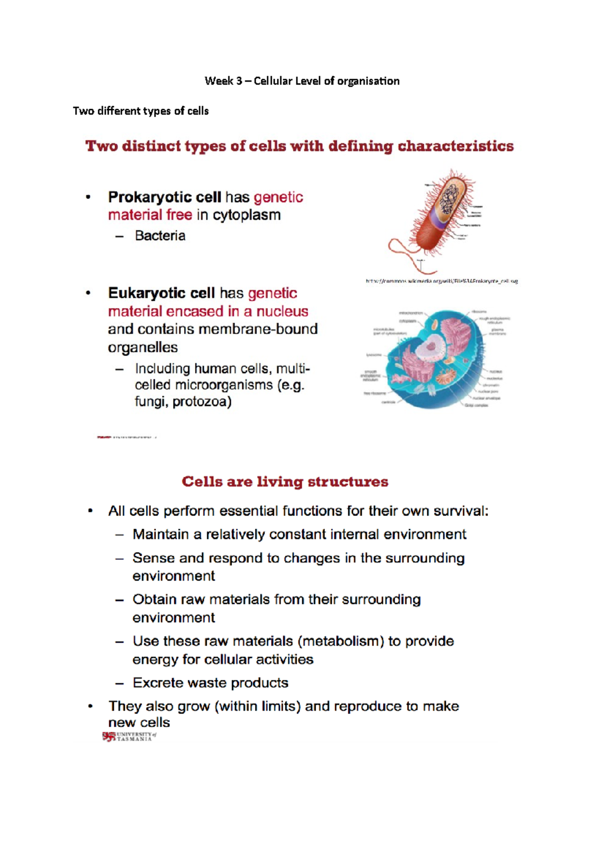 Cellular Level of organisation No use of energy LOWER TO HIGHER