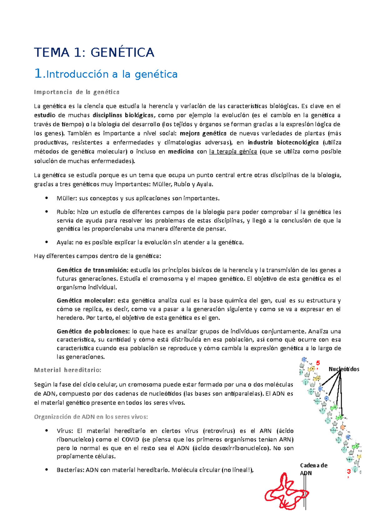 G TEMA 1 tema 1 5 ’ Nucleótidos T Cadena de ADN 3 ’ TEMA 1