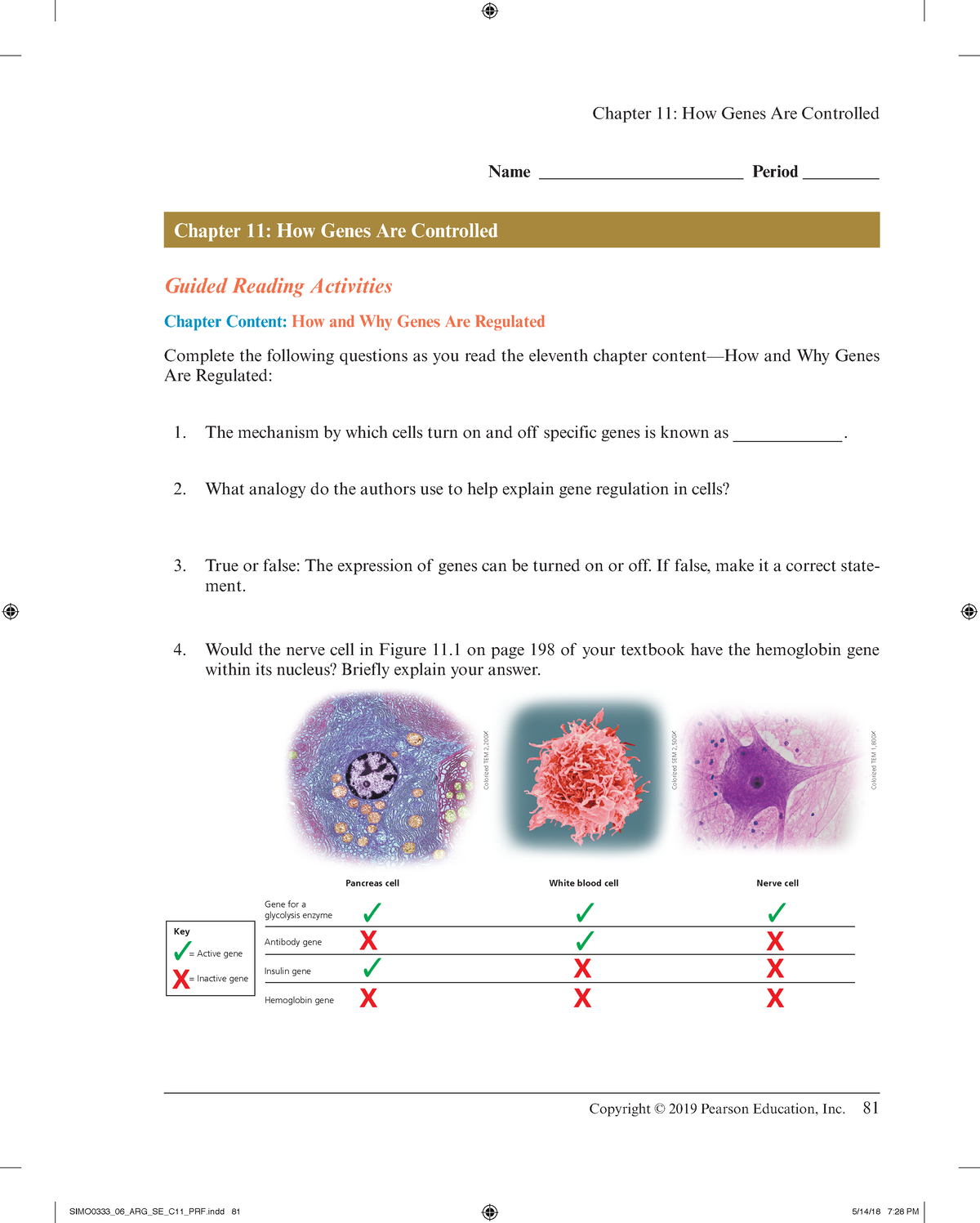 Active Reading Guide Activity 11 - Copyright © 2019 Pearson Education ...