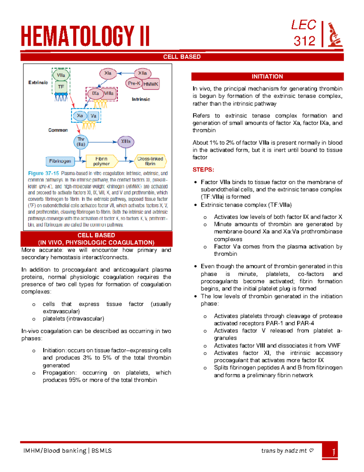 CELL BASED HEMATOLOGY - HEMATOLOGY II LECTURE // 2nd SEMESTER PRELIMS ...