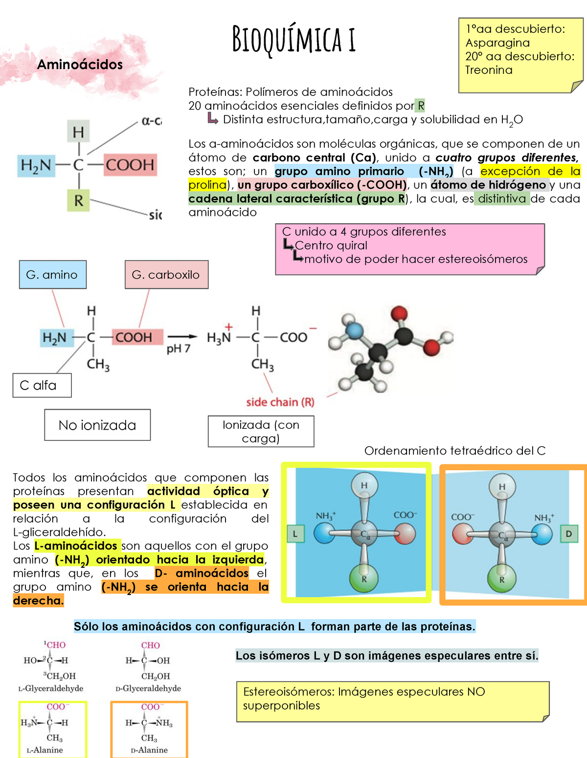Bioquimica I Aminoacidos Proteínas Bioenergética Enzimas Bioquímica I Aminoácidos 1356