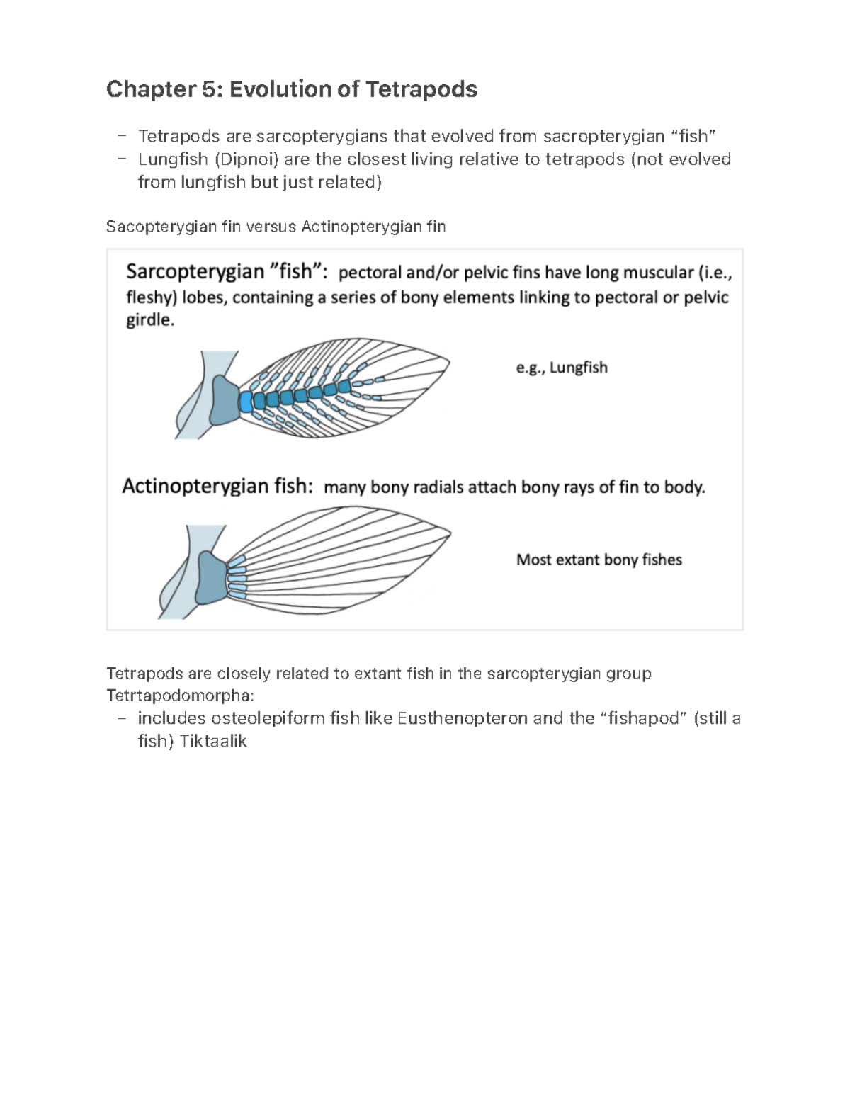 Chapter 5- Evolution of Tetrapods - Chapter 5: Evolution of Tetrapods