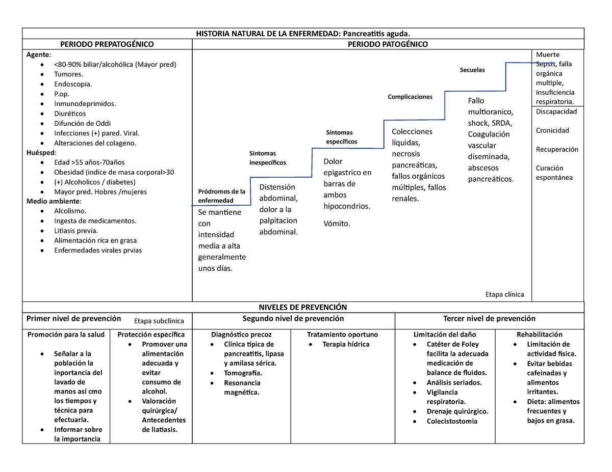 Pancreatitis Aguda Historia Narural De La Enfermedad Historia