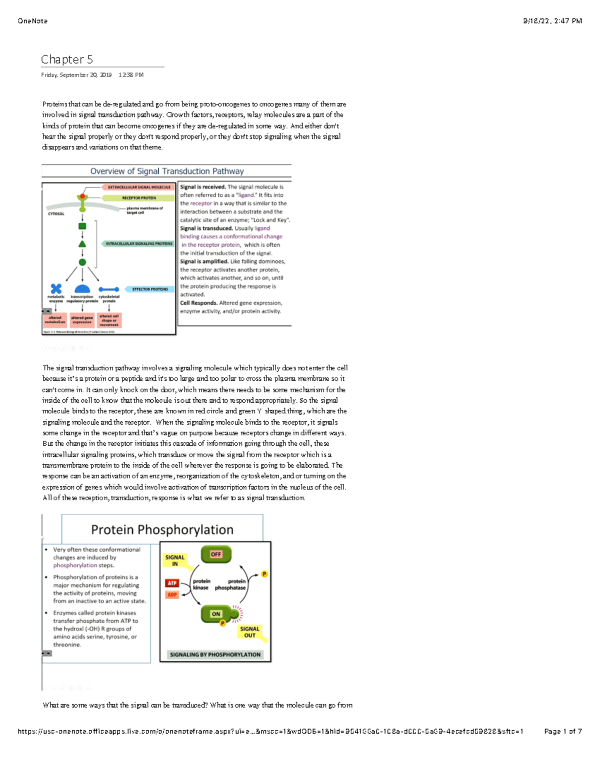 Chapter 5 Bio Exam Study Guide (Chapters) - Chapter 5 Friday, September ...