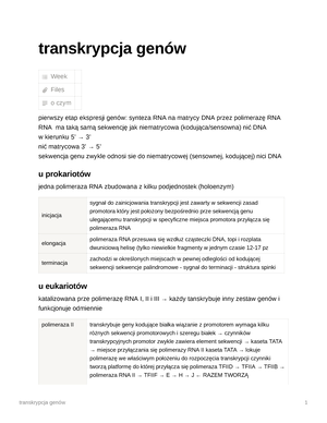 Budowa DNA - Notatki Kolokwium - Budowa DNA Week Files O Czym Budowa ...