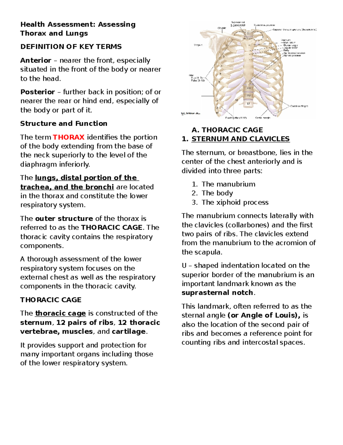 Health Assessment - Assessing Thorax and Lungs - Health Assessment ...