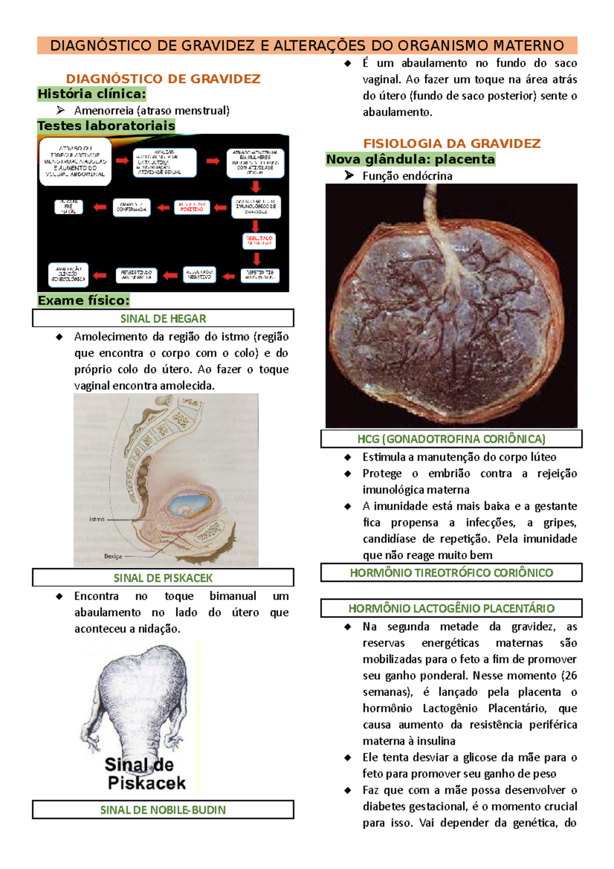 Diagnóstico e Fisio da gravidez - DIAGNÓSTICO DE GRAVIDEZ E ALTERAÇÕES ...