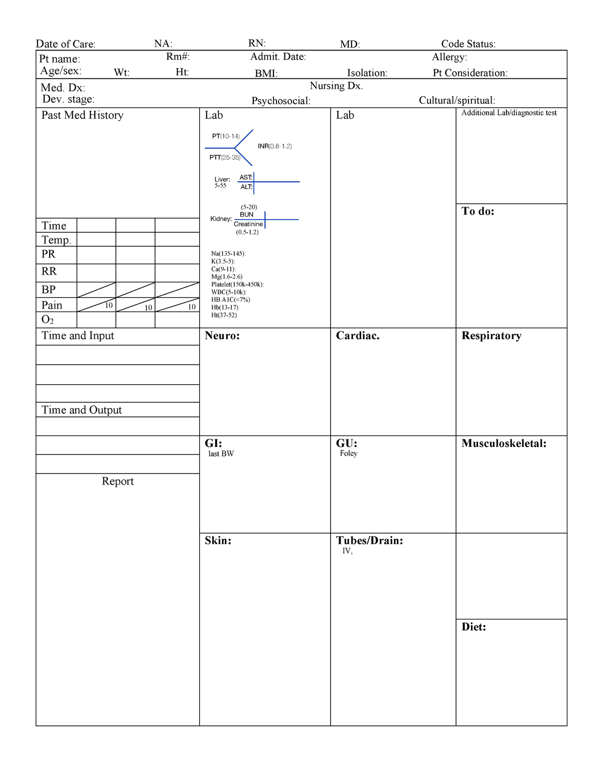 Brain sheet - Date of Care: Past Med History Lab Lab Additional Lab ...