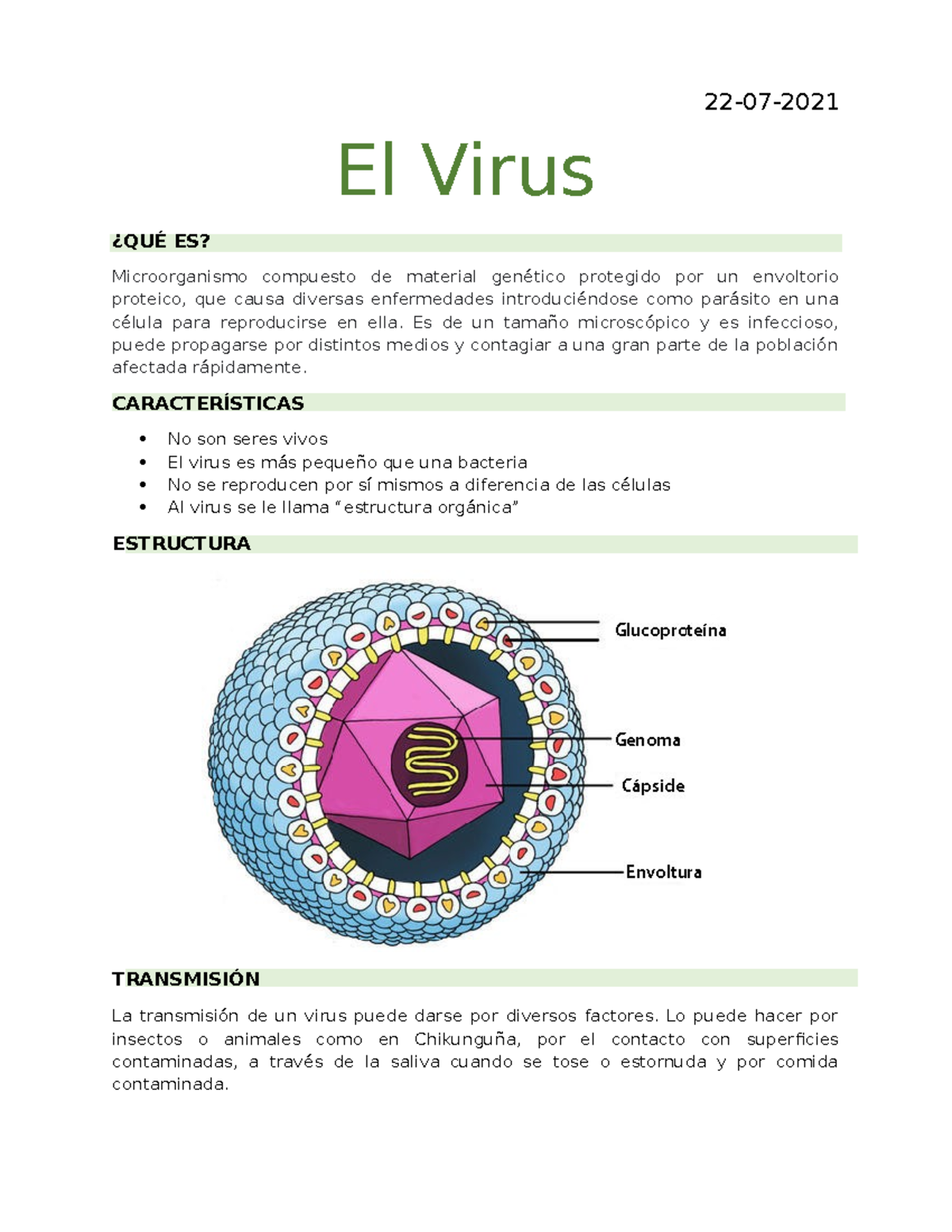 Clase de el virus - 22-07- El Virus ¿QUÉ ES? Microorganismo compuesto ...