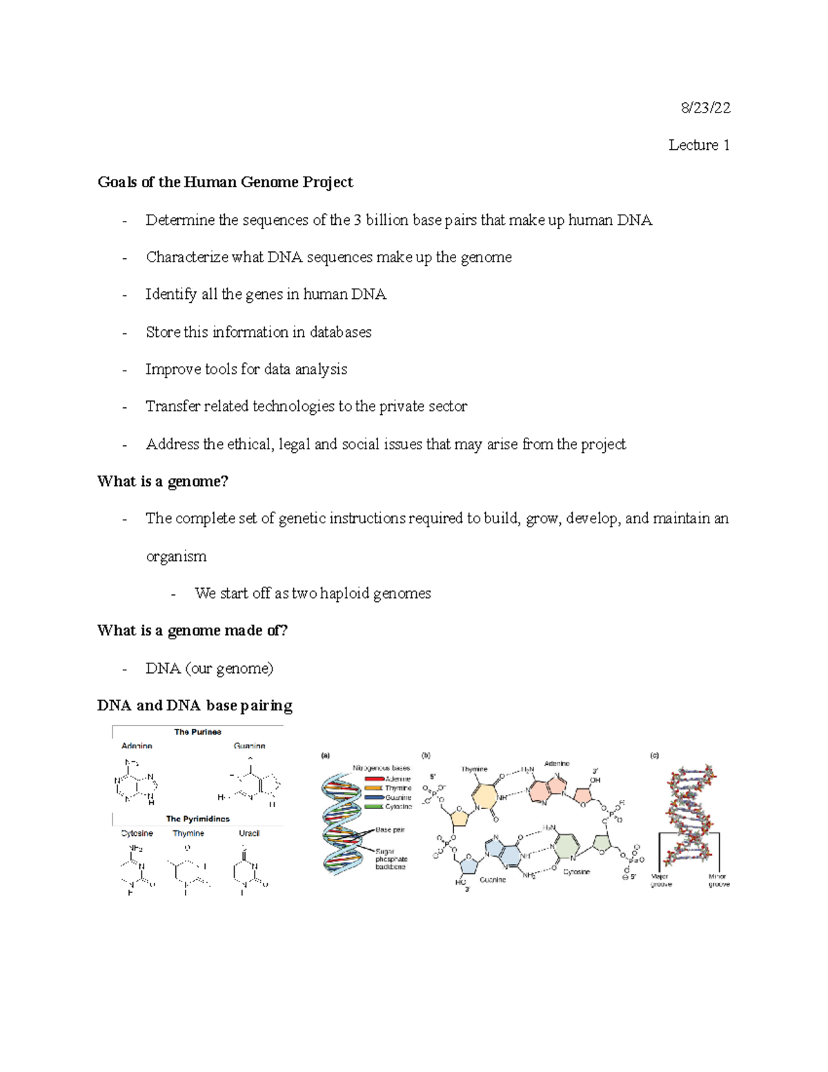 Genetics of Human Disease - 8/23/ Lecture 1 Goals of the Human Genome ...