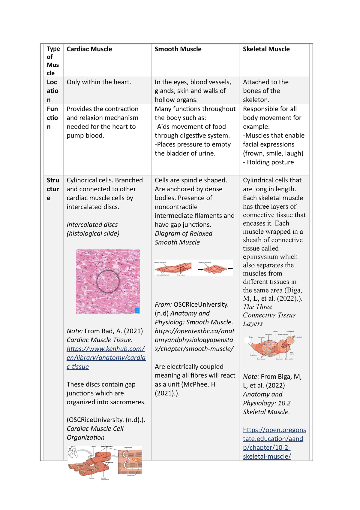 write an essay on cardiac muscle