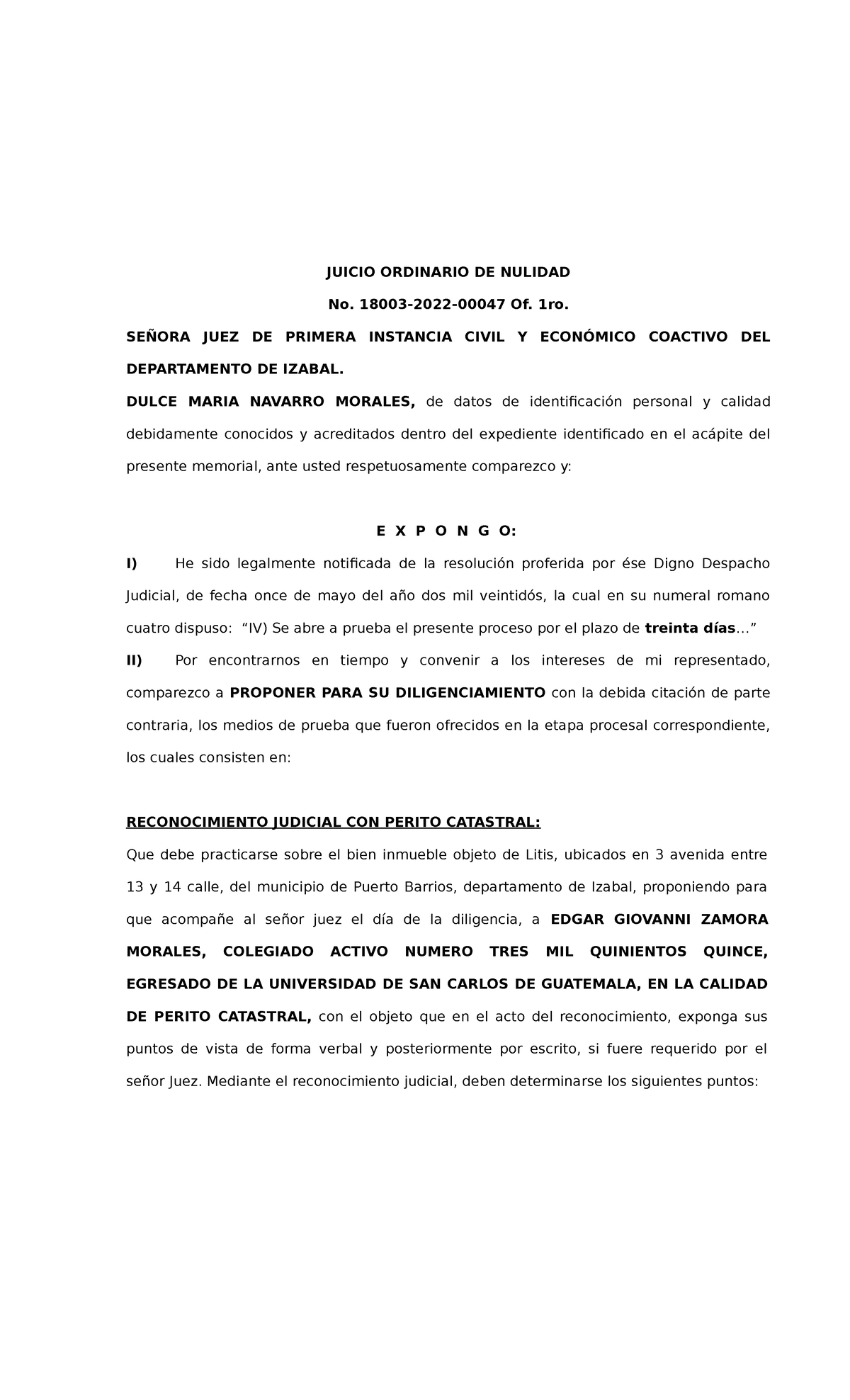 Memorial Prueba Reconocimiento Judicial - JUICIO ORDINARIO DE NULIDAD ...