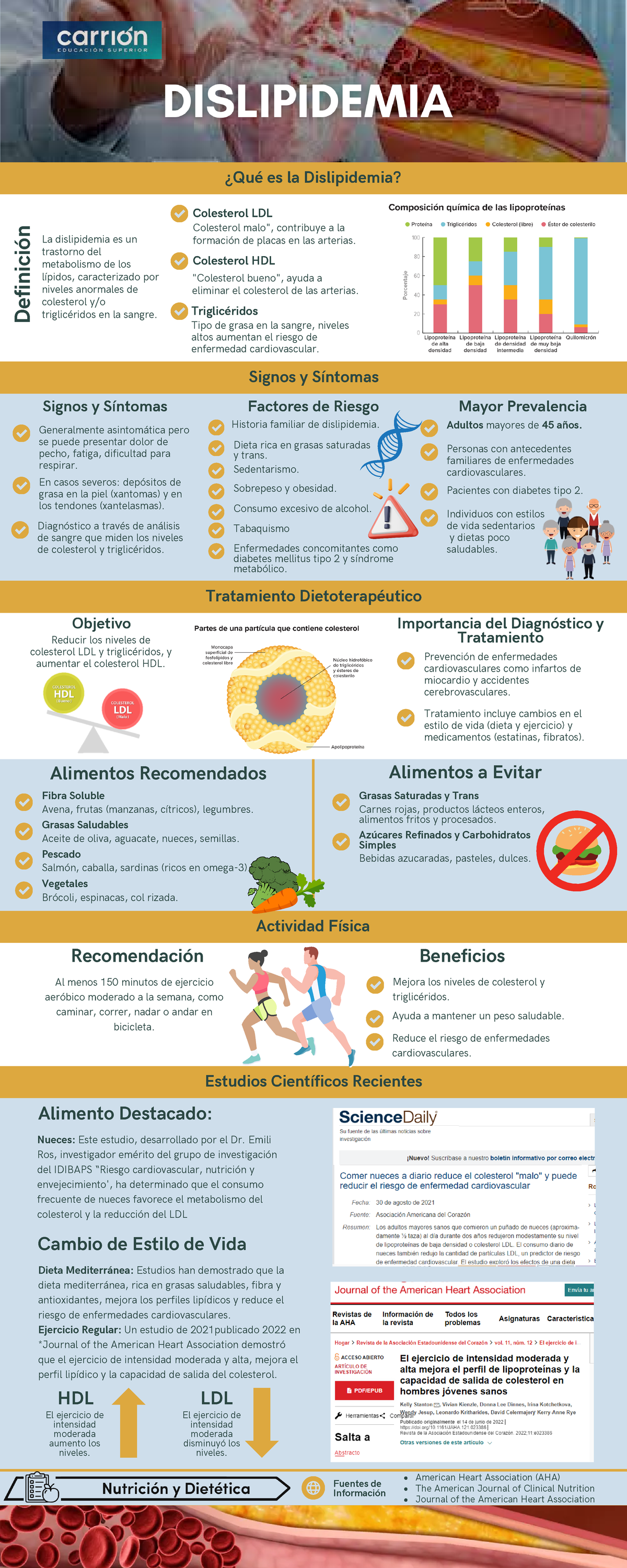 Dislipidemia - Tratamiento Dietoterapéutico Actividad Física Estudios ...