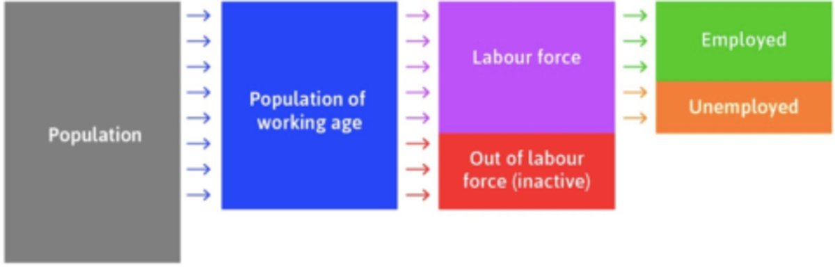 Labour market - ECO1011F - Employed Labour force Population of ...