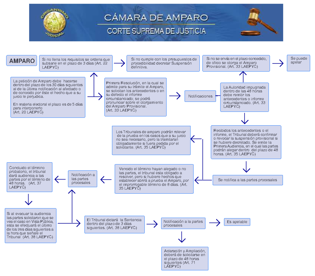 Esquemadelamparo PROCESO DE AMPARO AMPARO Si no llena los