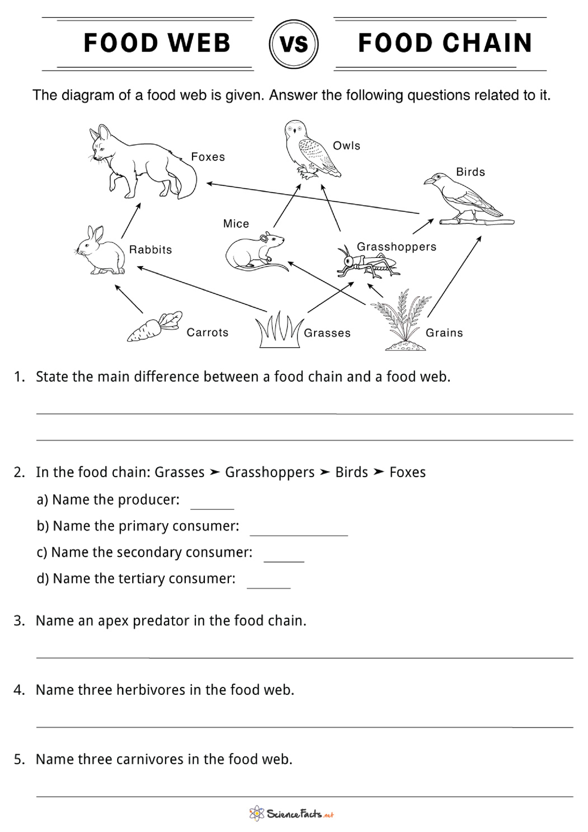 Food Web vs Food Chain Practice Worksheet - Science, Technology and ...