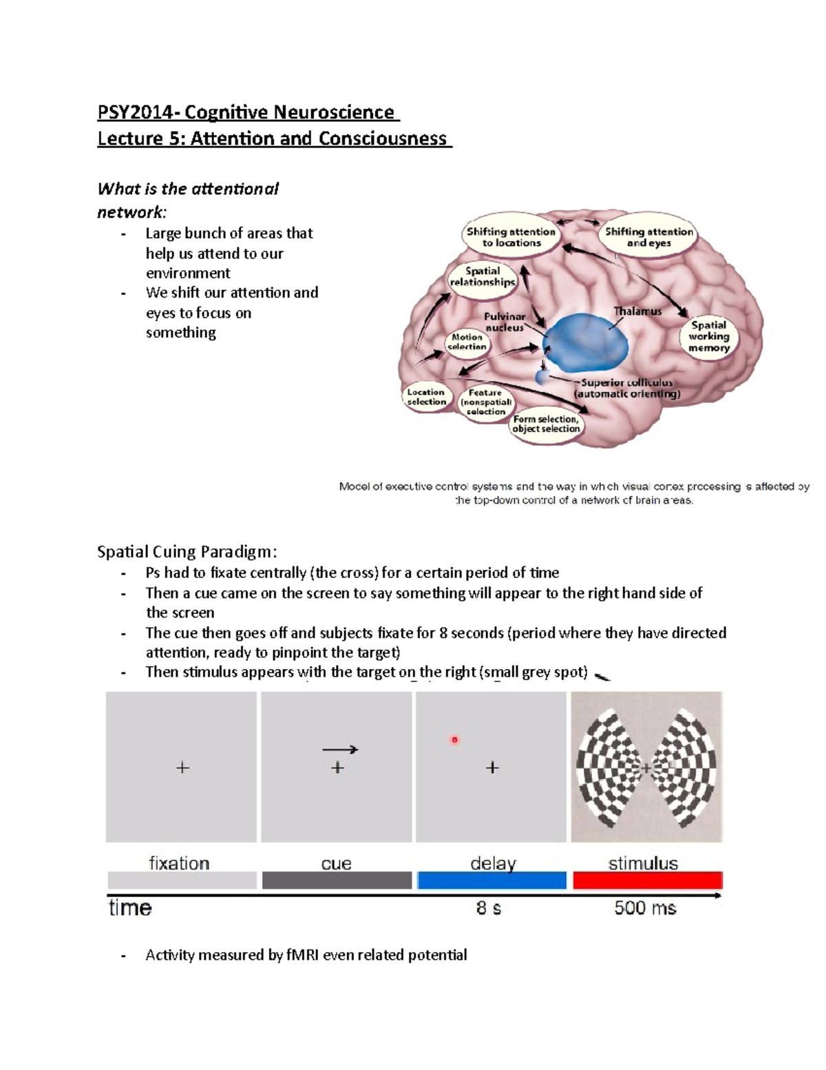 cognitive psychology experiments on attention