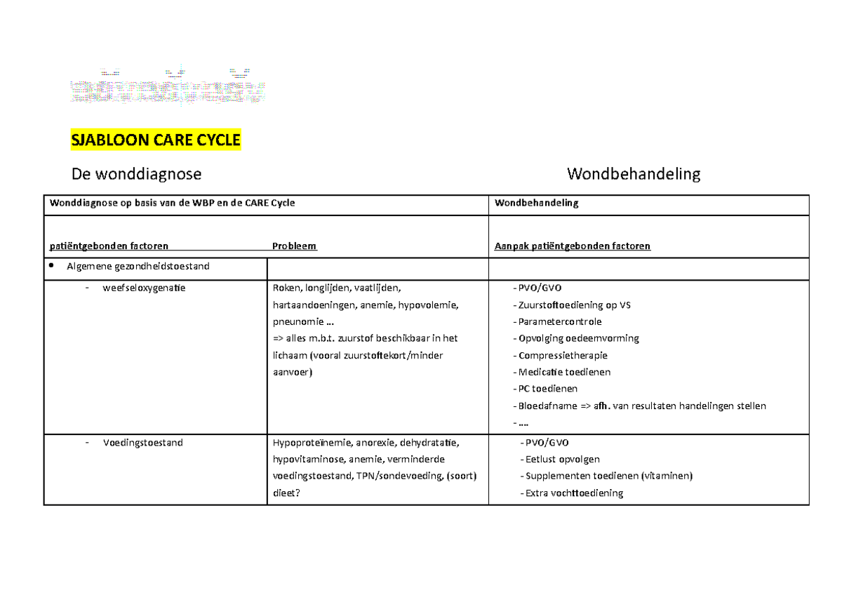 Hulpmiddel care cycle (nieuw sjabloon) SJABLOON CARE CYCLE De