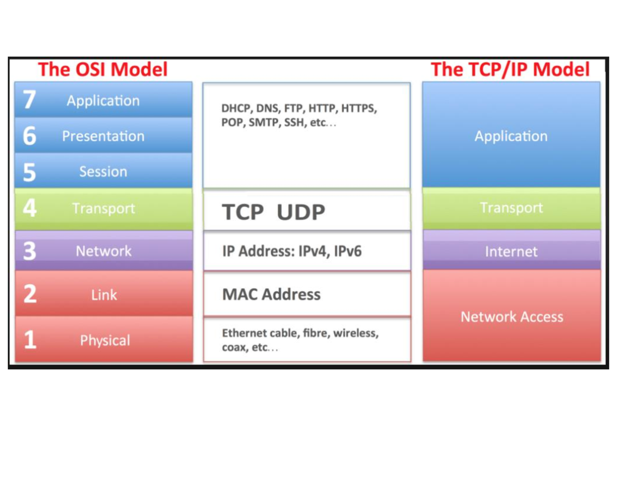 OSI and IP in introduction to network - Networks - Studocu