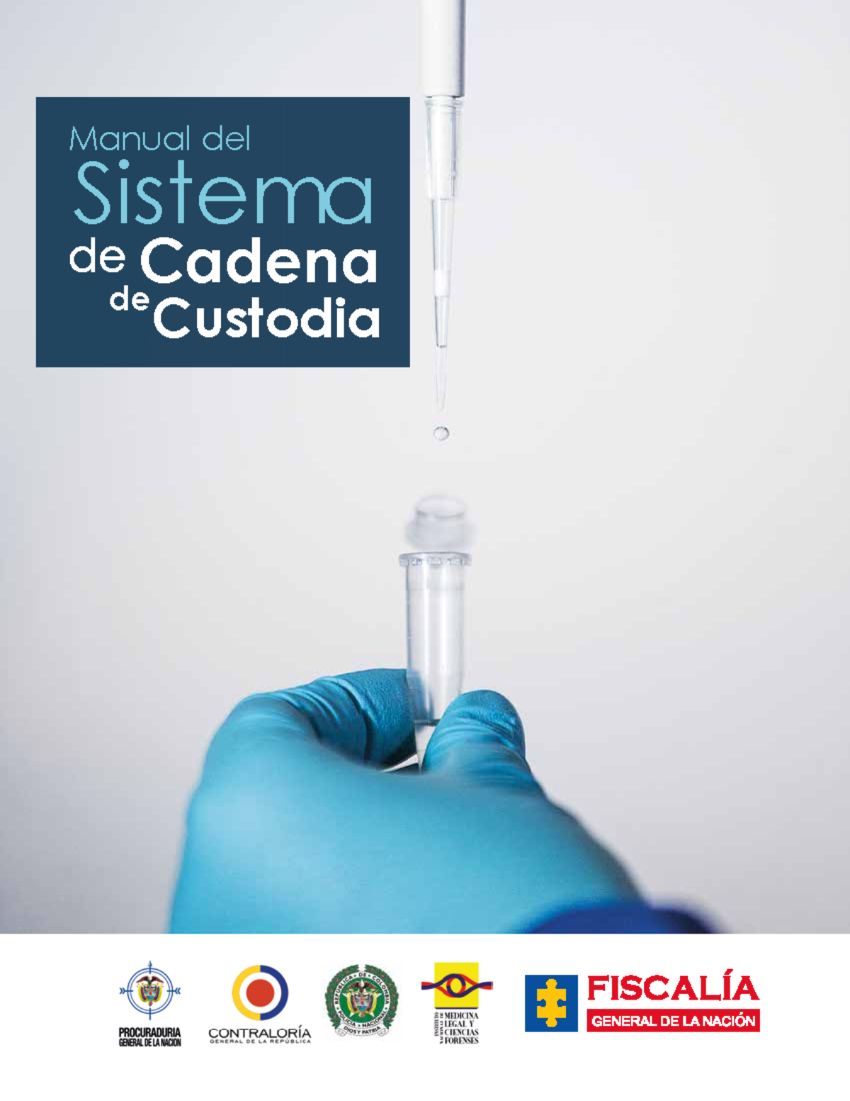 Manual DEL Sistema DE Cadena DE Custodia Cadena Custodia de Sistema Manual del MANUAL DEL