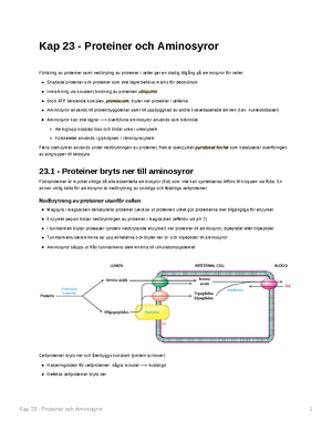 Kap 22 - Fettsyrans Metabolism - Kap 22 - Fettsyrans Metabolism Fyra ...