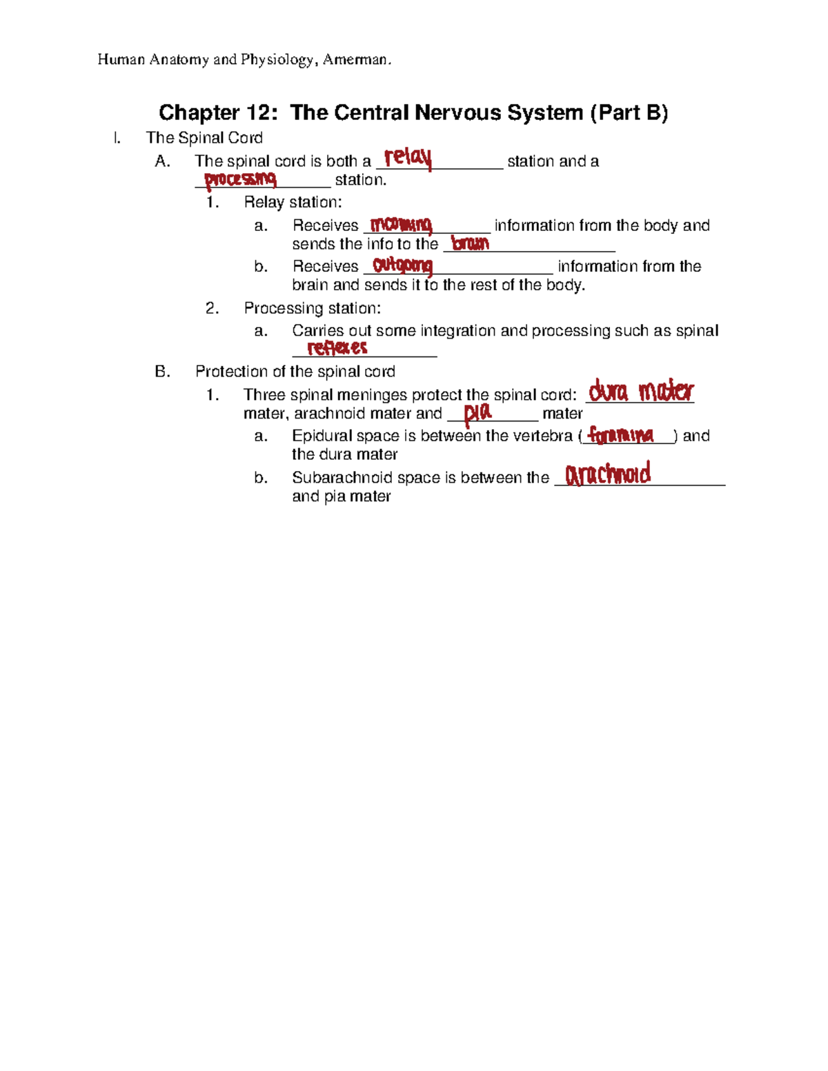 BIO+109+Chapter+12+Outline+Notes+Amerman+Part+B - Chapter 12: The ...