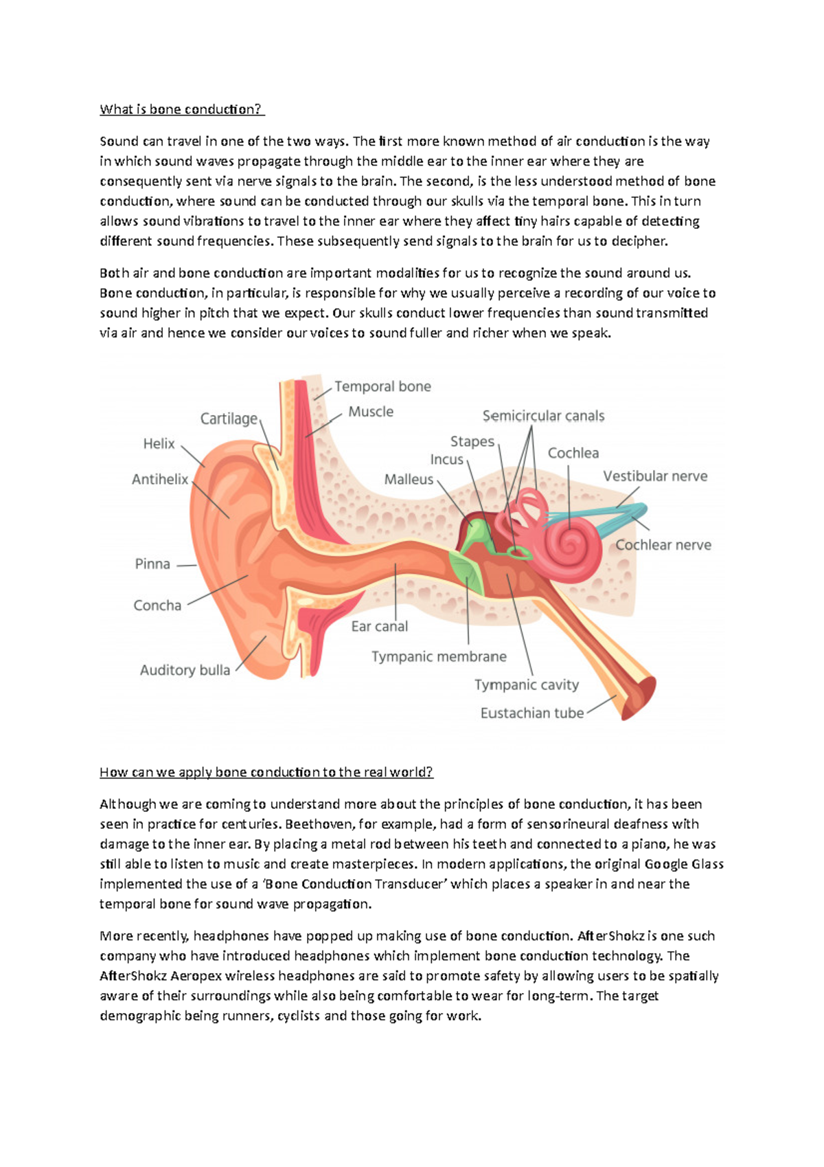 What Is Bone Conduction What Is Bone Conduction Sound Can Travel In